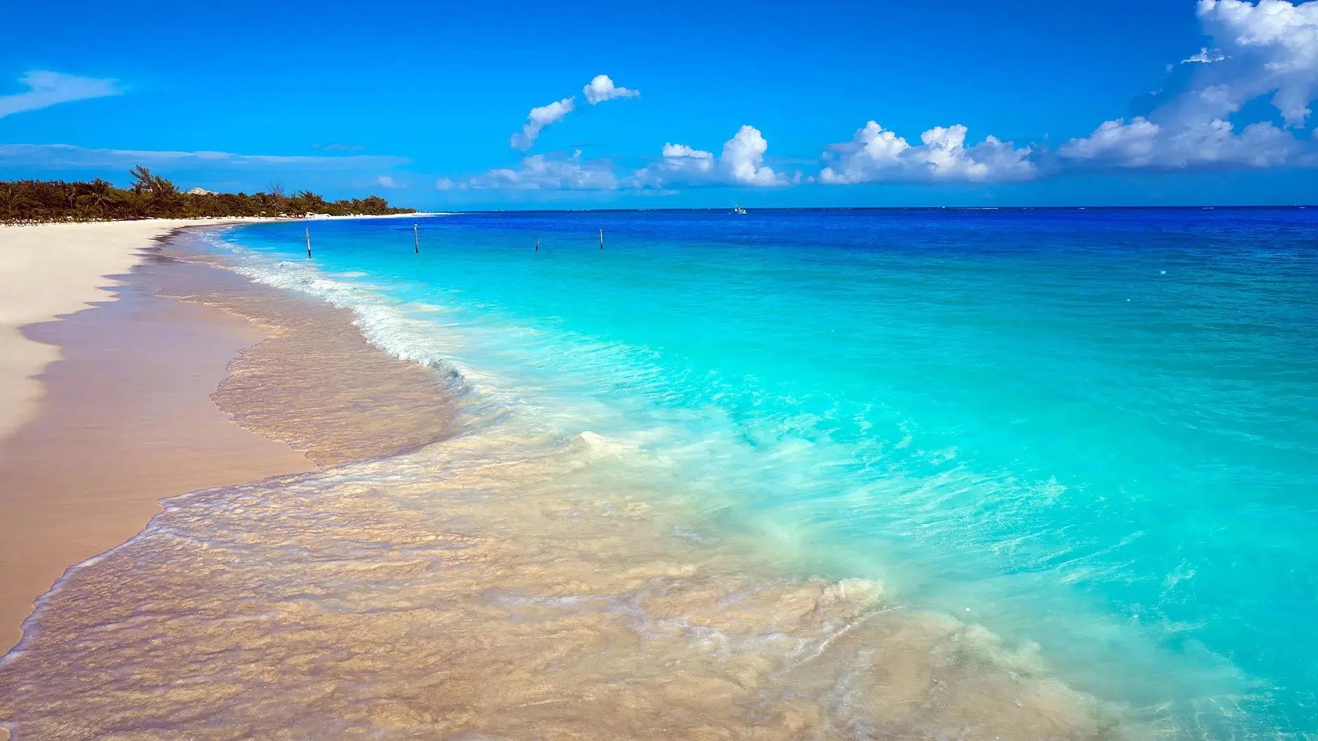 Beautiful Caribbean beach with turquoise waters and a cruise ship on the horizon - Limitless Cruises destination