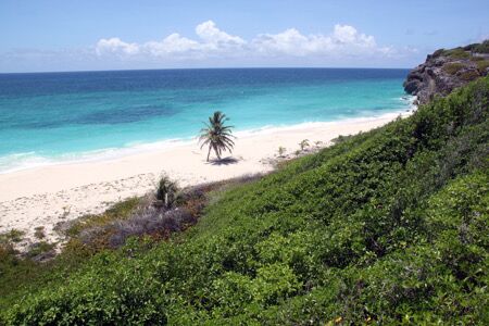 Caribbean beach and turquoise sea