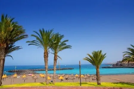 Volcanic coastline and blue sea in the Canary Islands